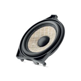 Focal ICC MBZ 100